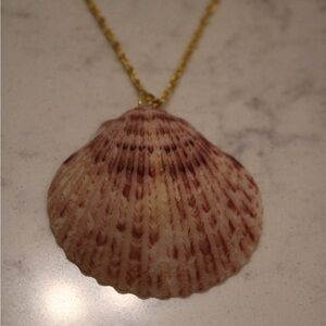 Calico Scallop Pendant With Gold Chain